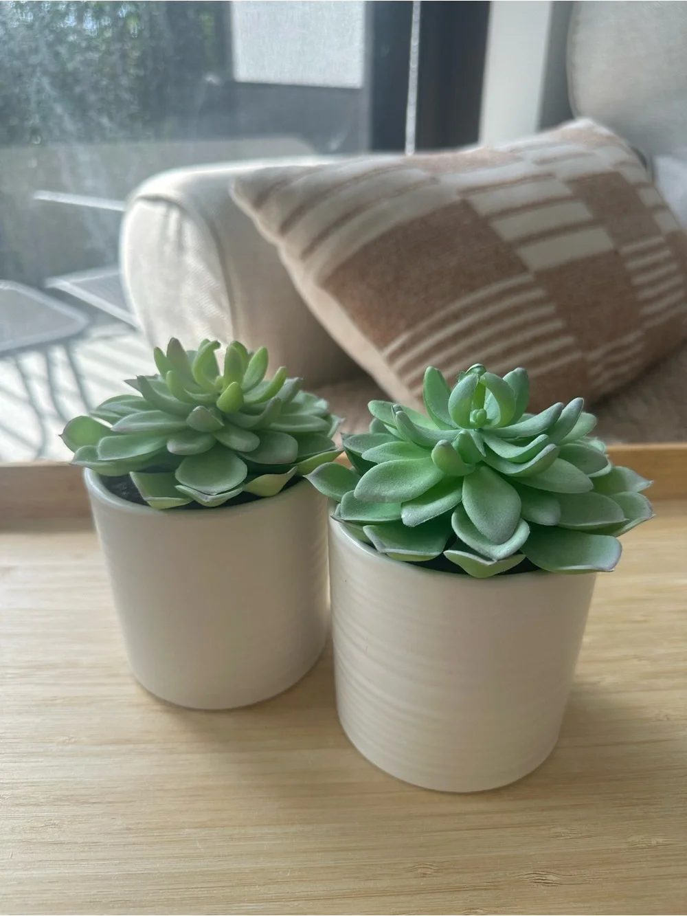 Neutral Ceramic Succulent Planter Set with Green Faux Succulents